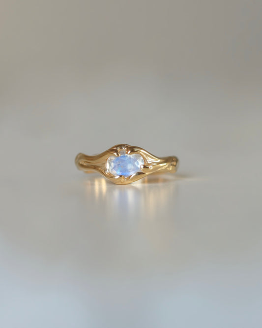 טבעת עדן בשיבוץ מונסטון