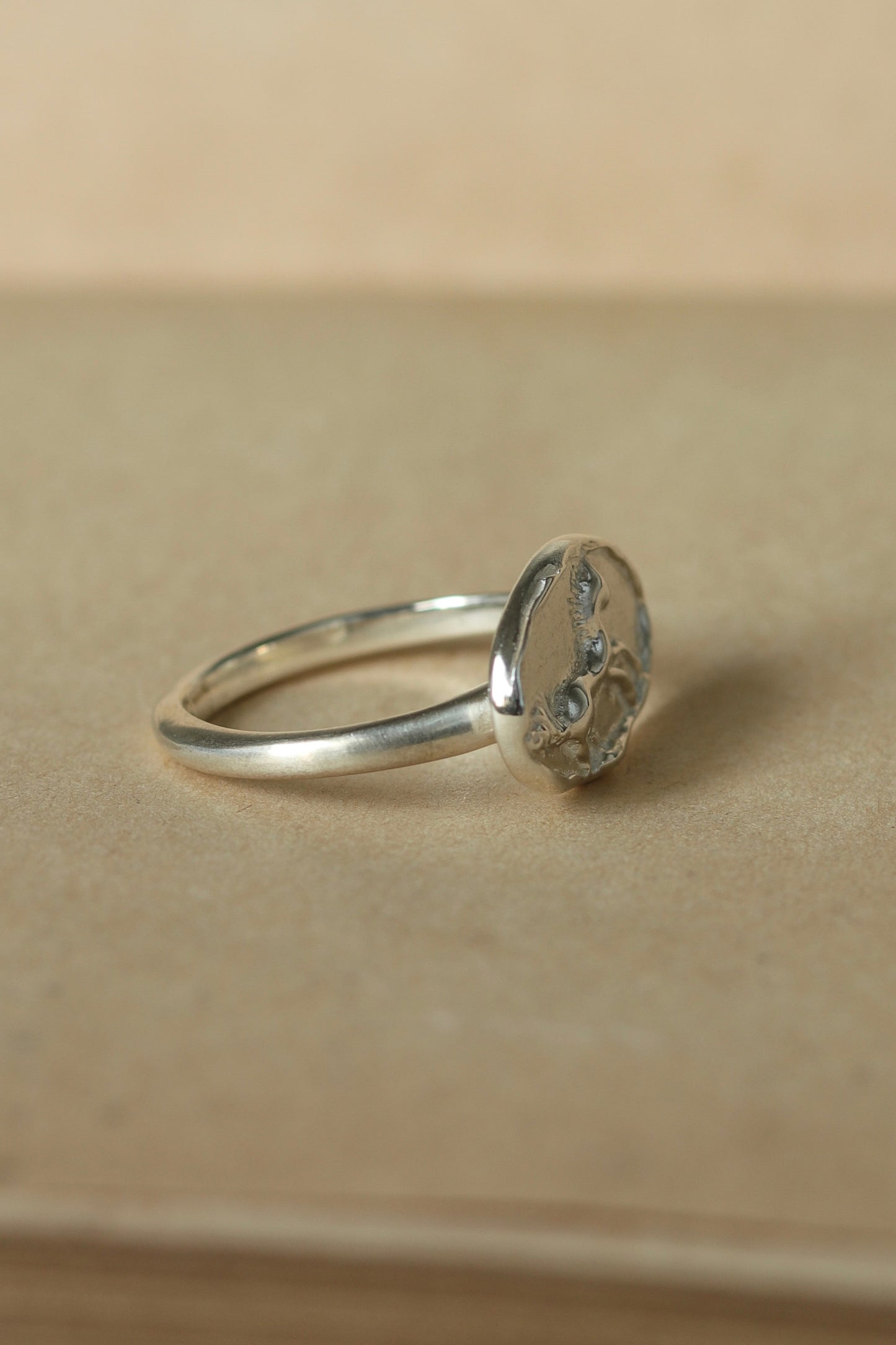 Horse Signet Ring In Silver