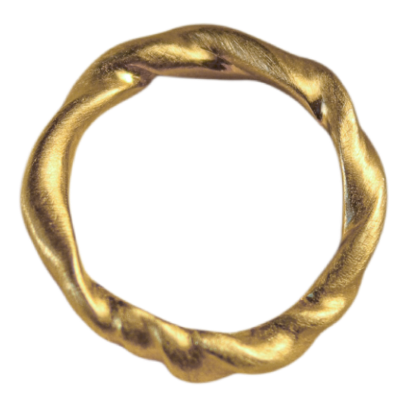 TAIGA Studio